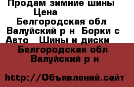 Продам зимние шины › Цена ­ 30 000 - Белгородская обл., Валуйский р-н, Борки с. Авто » Шины и диски   . Белгородская обл.,Валуйский р-н
